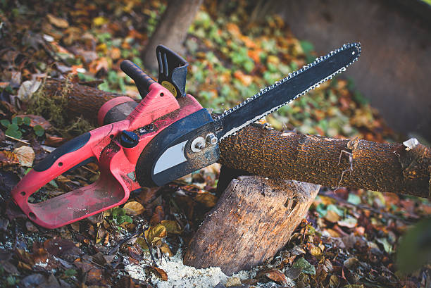 Pest Control for Lawns in Falling Water, TN